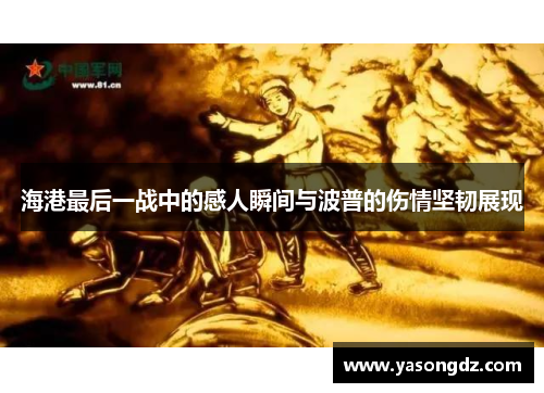 海港最后一战中的感人瞬间与波普的伤情坚韧展现