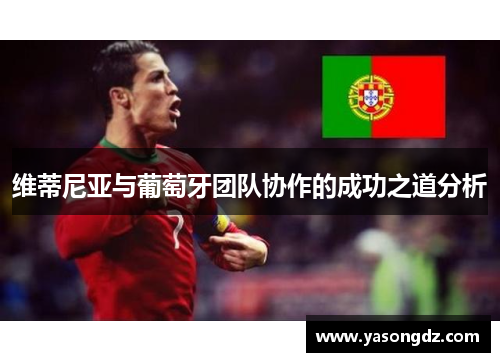 维蒂尼亚与葡萄牙团队协作的成功之道分析